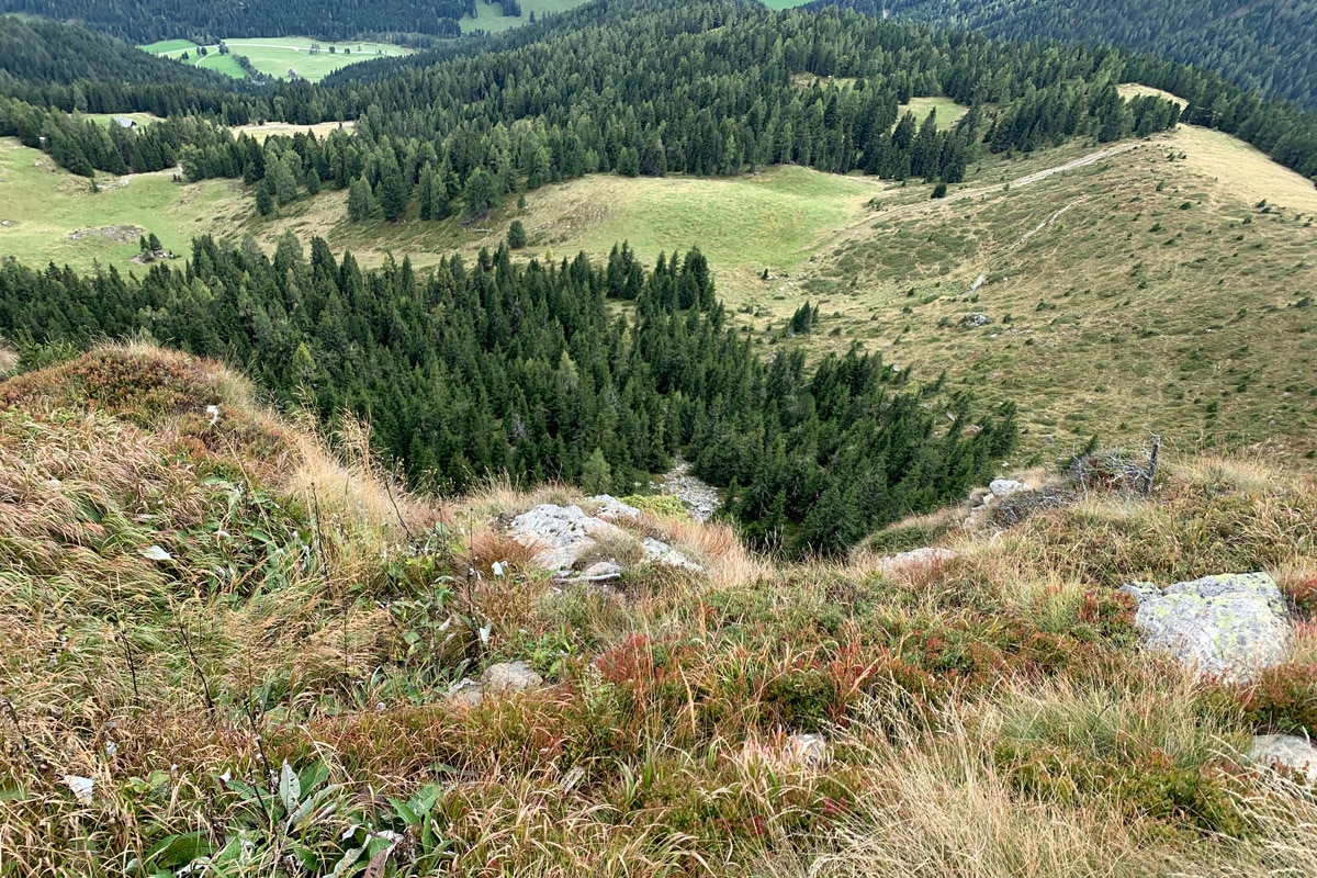 Wanderung zur Frauenalpe